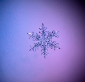 Хрупкость зимы...