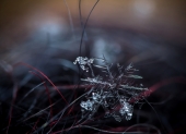 Большой мир маленьких снежинок...