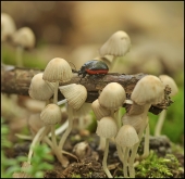 Между прошлым и будущем...