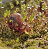 Ну, и как я тут оказался...???