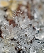 Тринадцатый...