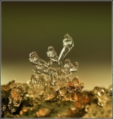 Кулачковый синдром...