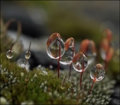 Неприкасаемые...