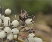 Красивая и нечаянная любовь...