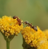 Дорогие отношения..