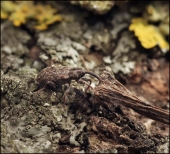 Первый шаг к весне...