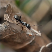 Проснувшийся к ПервоМаю...