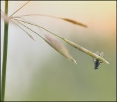 Оборотная сторона...