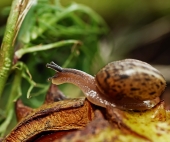 Потерянное время...