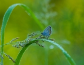 Я так хочу,чтобы лето не кончалось...