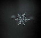 Ночная звезда...