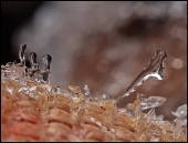 Трое на одного... Трое на одного...