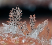 Четыре туза из ледяной бездны...