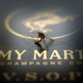 Напилася я пьяна...