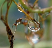 Стечение.. Стечение..