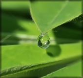 Зазеркалье... Зазеркалье...