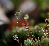 Был дождь...