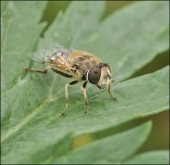Сквозь непогоду... Сквозь непогоду...