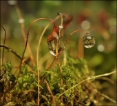 Между строчек осени...