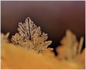 Горизонты...