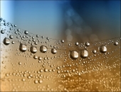 Тихие мировые... Тихие мировые...