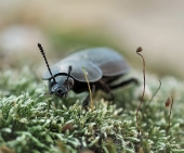 ИспытатЕЛЬ..