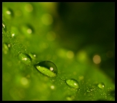 Летние ночи