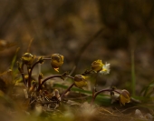 Дружная семейка... Дружная семейка...