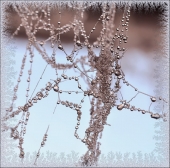 За окнами жизнь... За окнами жизнь...