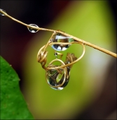 Темный рыцарь...