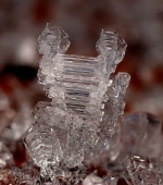 Лягушонок...