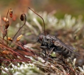 Признаки лета..