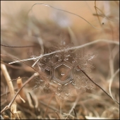 Не вышло немного...