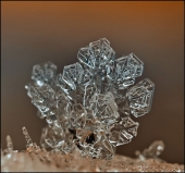 Глубокое синее море...