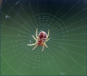 Небесная нагота...