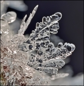 Была зима... Была зима...