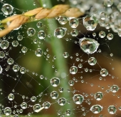 Скованные молчанием..