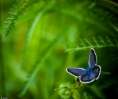 Цвета неба...