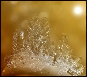 Пошли к королеве...