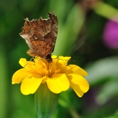 мммм как вкусно:)