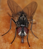 техника пришла...остался сюжет:)