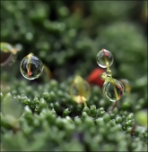 ЧелоВЕчики... ЧелоВЕчики...