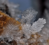 Домыслы ли...