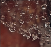 Зимнее эхо лета тепла... Зимнее эхо лета тепла...