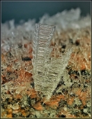 Вниз по краю...