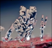 Волнение и тишина...