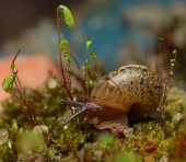 Почти сказка..