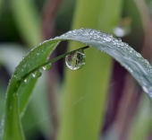 Тихое местечко...