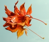 Хрустальная осень