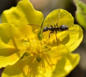 в столовой в столовой